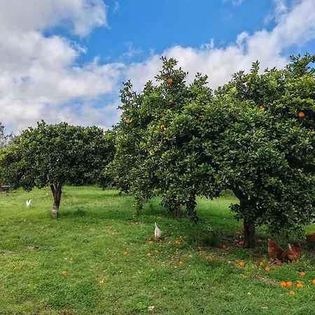 Ruralholidays Apartman Calimera