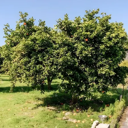 Ruralholidays * Calimera