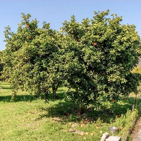 Ruralholidays Calimera (Lecce)