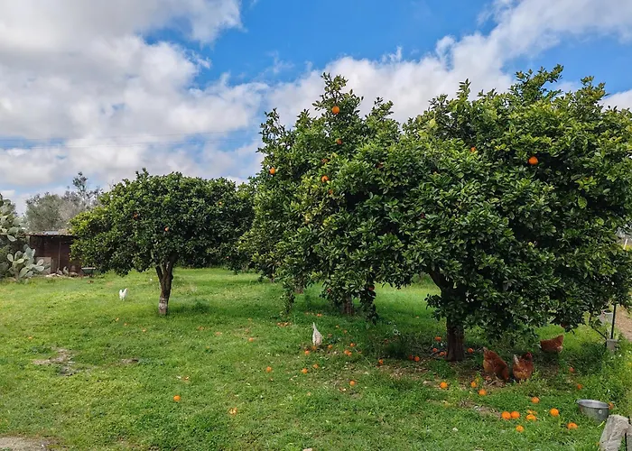 Ruralholidays Daire Calimera (Lecce)